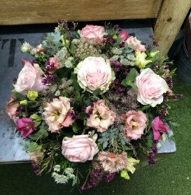 Pink Posy